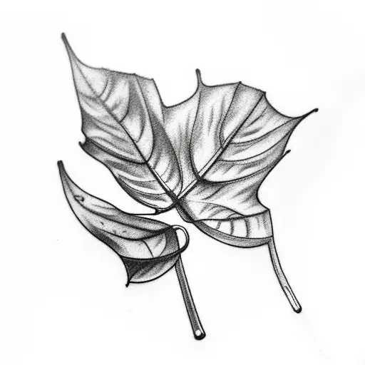 Filled branches of Philodendron leaves minimal tattoo drawing in black for covering and old fading tattoo on arm that th tattoo design idea