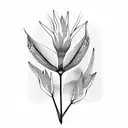 Strelitzia tattoo design idea