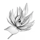Strelitzia tattoo design idea