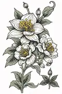 poppy, lilly of the valley, water lilly, daffodil, cosmo flowers tattoo design idea