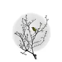 Small canary bird in cherry tree branch minimalist  tattoo design idea