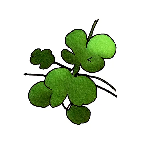 5 leafs clover inspired on anime black clover tattoo design idea
