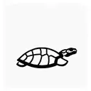 tortoise tattoo design idea