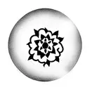 Stella tattoo design idea