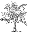 olive tree tattoo design idea