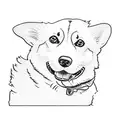 a corgi tattoo design idea