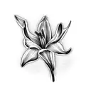tulip, white lily and wattle bunch tattoo design idea