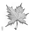 Maple leaf intertwined with Thai script tattoo design idea