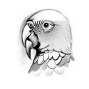 A sketch-style design featuring a Kea parrot in motion tattoo design idea