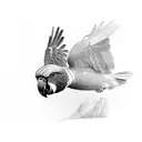 A sketch-style design featuring a Kea parrot in motion tattoo design idea