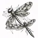 dragonfly + c + 61 + 56 tattoo design idea