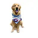 a golden retriever wearing a captain america bandana tattoo design idea