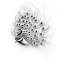 Peacock tattoo design idea