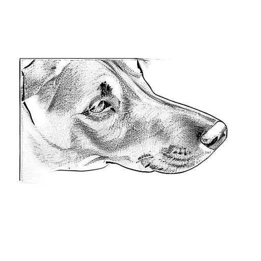 a black labrador retriever tattoo design idea