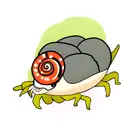 snail tattoo design idea