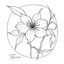 tipuana seeds tattoo design idea