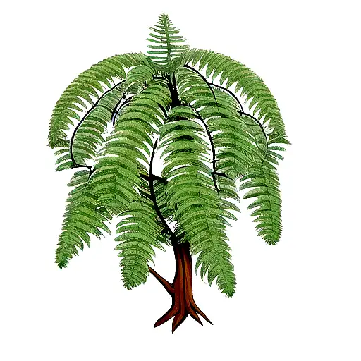 Fern Tree tattoo design idea