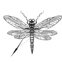 Dragonfly tattoo design idea