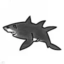 sand shark tattoo design idea