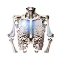 skeleton with exploding chest tattoo design idea