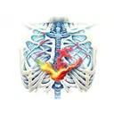 skeleton with exploding chest tattoo design idea