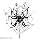 spider,web,skull  tattoo design idea