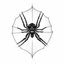 spider,web,skull  tattoo design idea