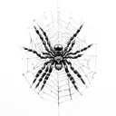 spider,web,skull  tattoo design idea