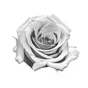  bunch up roses with the name guadalupe in the center tattoo design idea