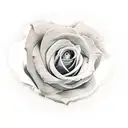  bunch up roses with the name guadalupe in the center tattoo design idea
