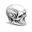 cut in half skull  tattoo design idea