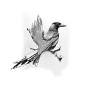 magpie newcastle united  tattoo design idea