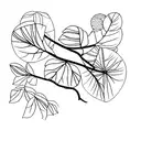 Branch of thin and delicate leaves in the background.  Flowers of the orange tree, a whole orange and an orange cut in h tattoo design idea