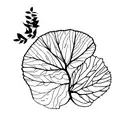 Branch of thin and delicate leaves in the background.  Flowers of the orange tree, a whole orange and an orange cut in h tattoo design idea