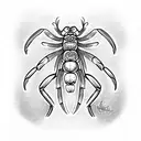 scolopendra tattoo design idea