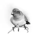 turpial bird venezuela tattoo design idea