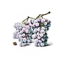 grapes tattoo design idea