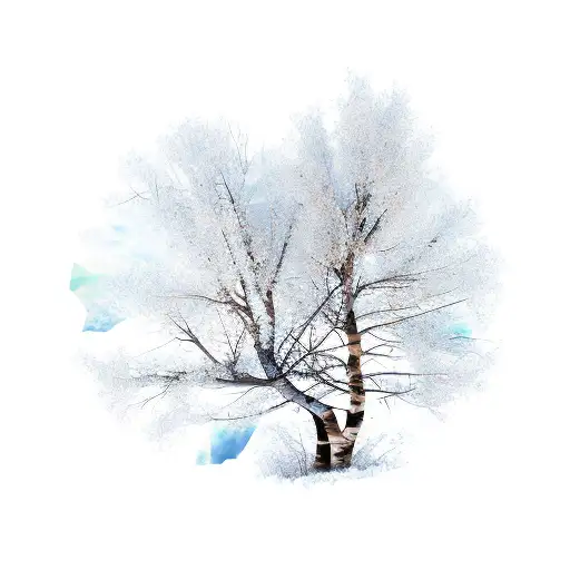 aspen tree branch tattoo design idea