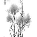 aspen tree tattoo design idea