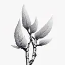 aspen tree branch tattoo design idea