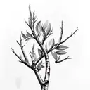 aspen tree branch tattoo design idea