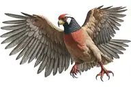 chukar patriegde attacking with its wings spread and its mouth open li tattoo design idea