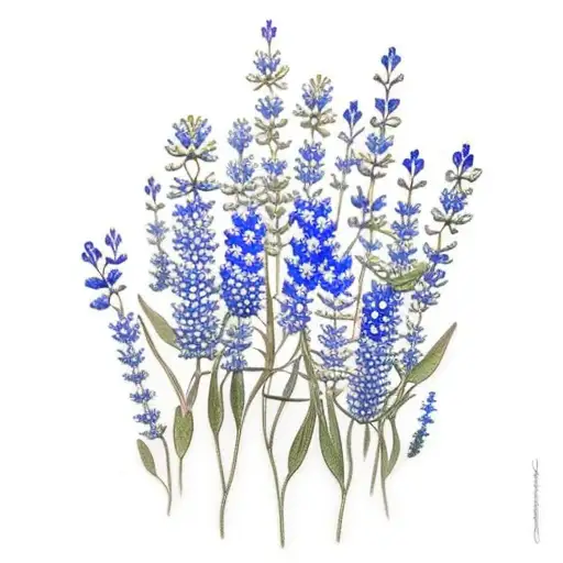 bluebonnets tattoo design idea