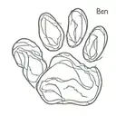 Paw Print with a name Ben tattoo design idea