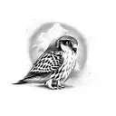 Mauritian Kestrel  tattoo design idea