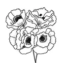 poppies, daffodils, and carnations tattoo design idea