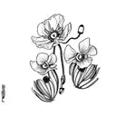 honeysuckle, poppy, narcissus, carnation, sweet pea on a vine with leaves tattoo design idea