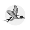 Swallow Bird tattoo design idea