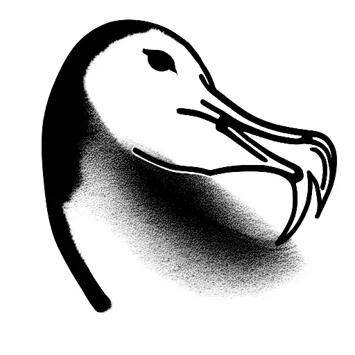 albatross  tattoo design idea