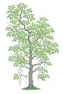 poison tree growing tattoo design idea